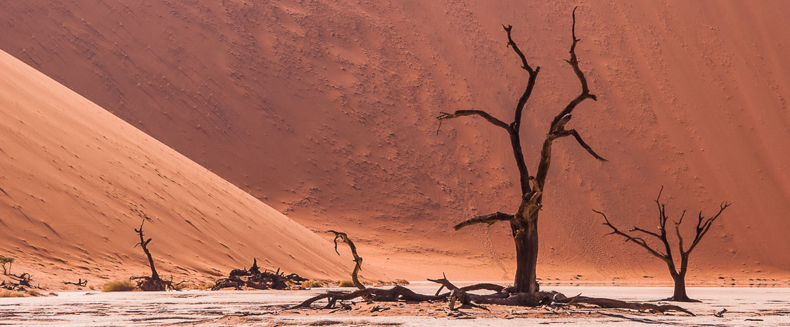 Sossusvlei, Namib Desert, Namibia, by Andrew Jones