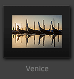 Venice Photographs