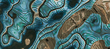 View Inner Landscapes