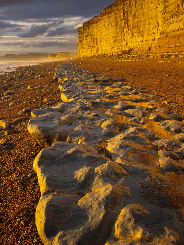 Sandstone Coast, Burton Bradstock, Dorset, by Andrew Jones