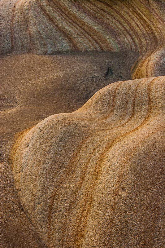 Northumbrian Shoreline, Northumberland, by Andrew Jones