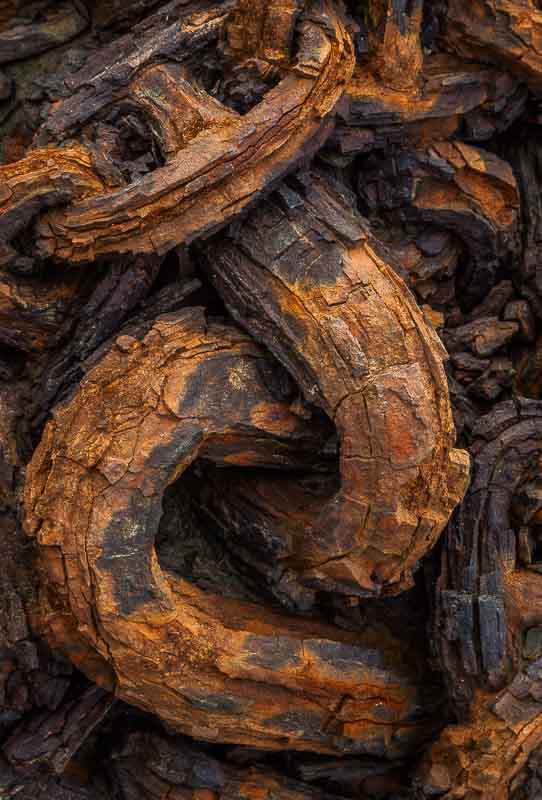 Quayside Chains, Norfolk, by Andrew Jones