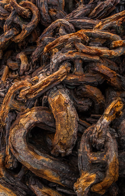 Quayside Chains, Norfolk, by Andrew Jones